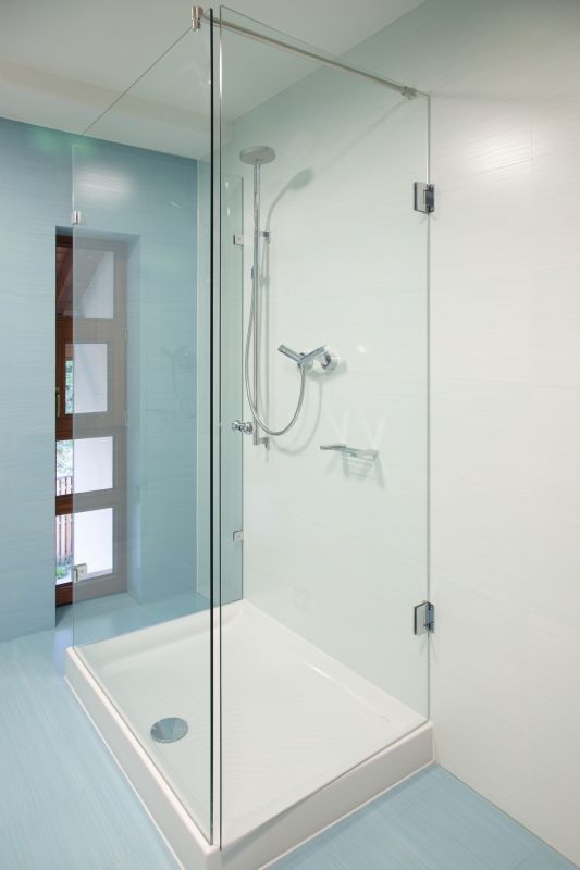 Stylish Frameless Shower